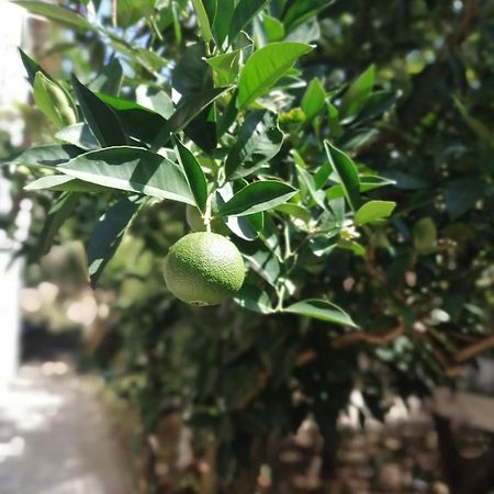 Apartmani Lala 2 Canj Luaran gambar