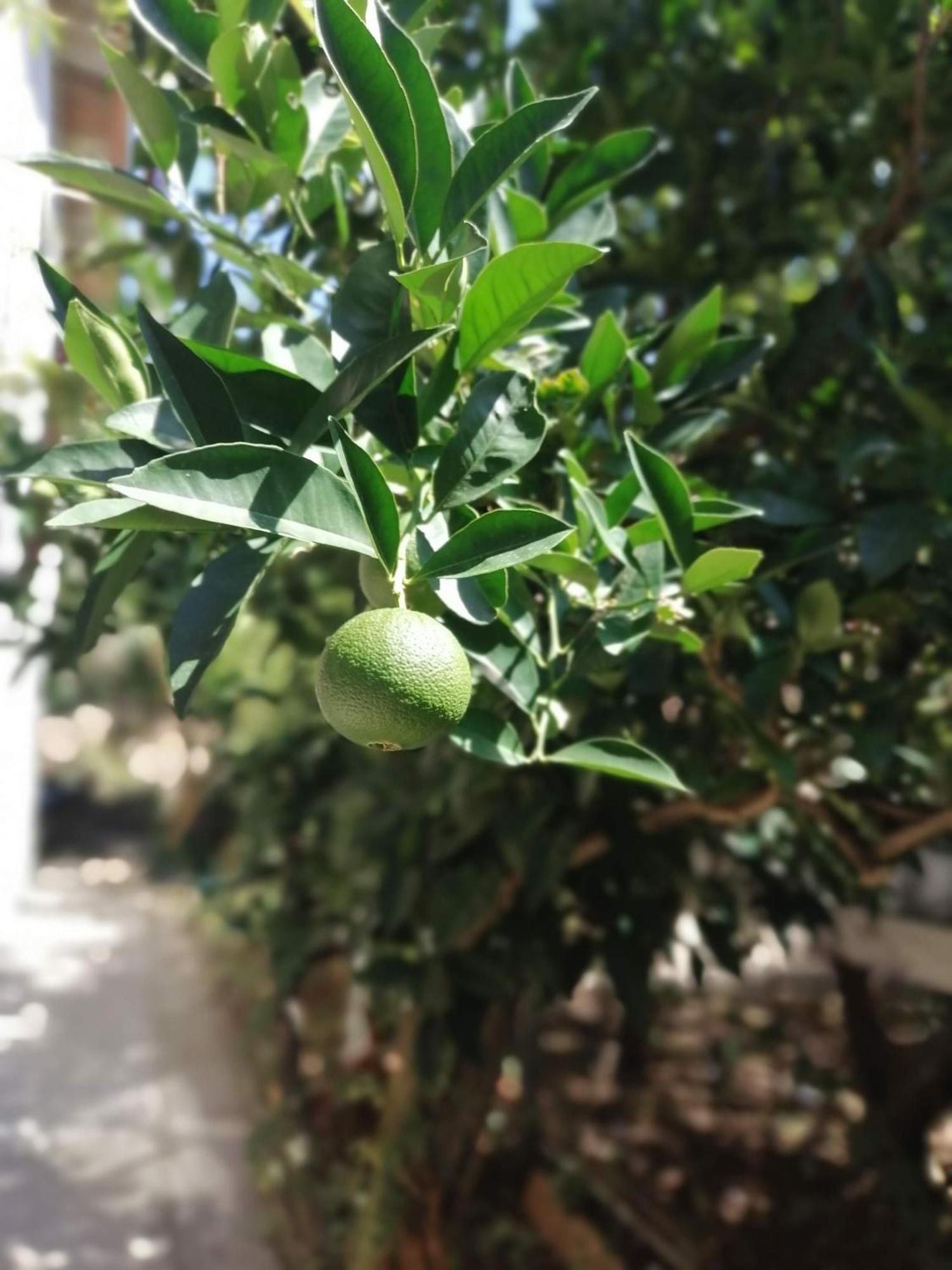 Apartmani Lala 2 Canj Luaran gambar