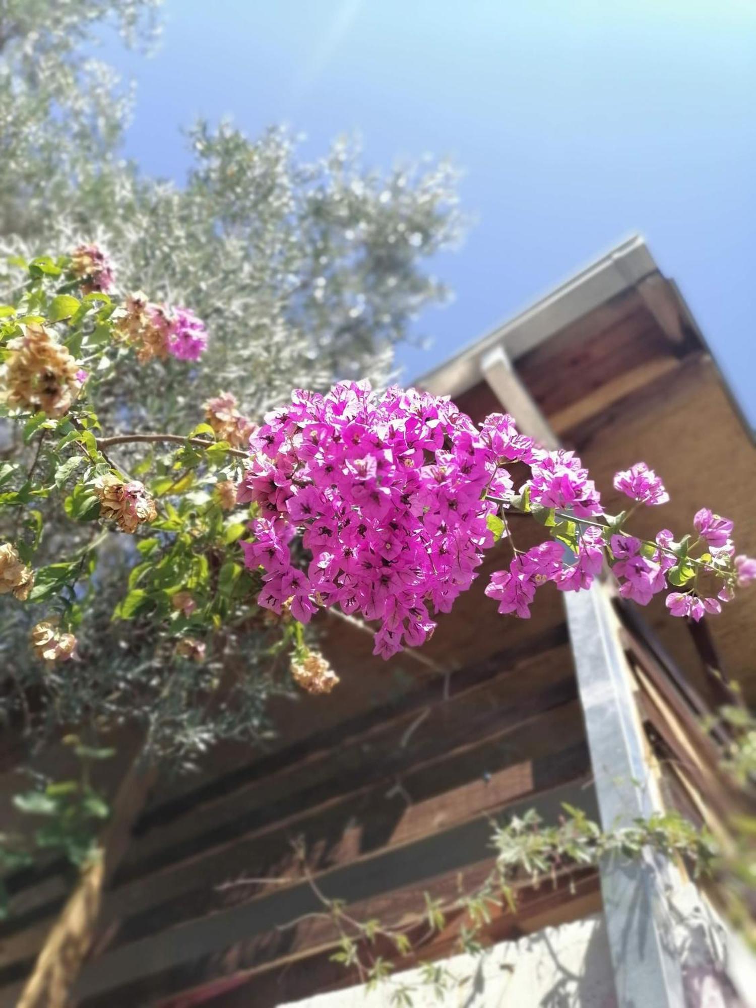 Apartmani Lala 2 Canj Luaran gambar